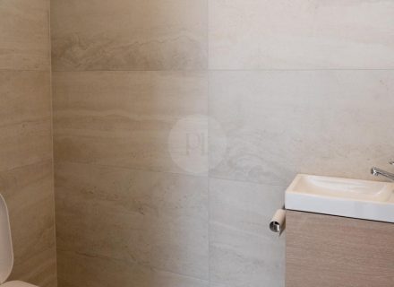 Surf Check, North Curl Curl-21