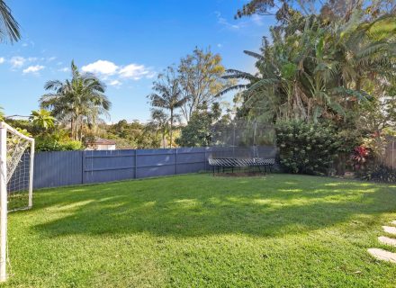 backyard garden established pool