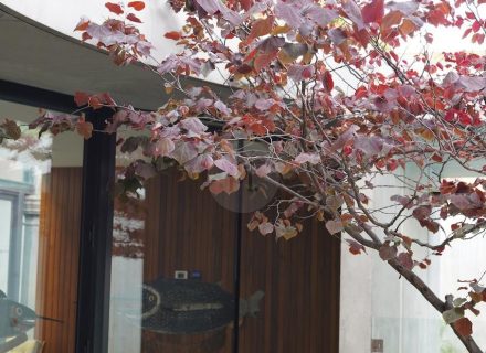 THE CHURCH COLLINGWOOD71 POOL AREA