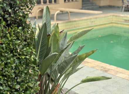 THE MANSION, ELSTERNWICK134