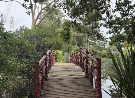 THE MANSION, ELSTERNWICK167