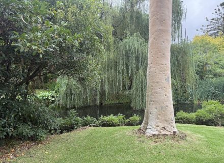 garden established