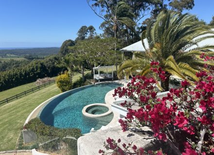 THE VIEW - POOL FROM ABOVE WITH FLOWERS 2