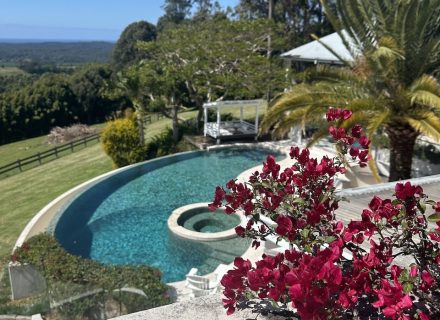 THE VIEW - POOL FROM ABOVE WITH FLOWERS