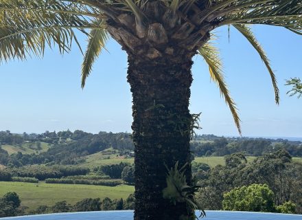 THE VIEW - PORCH2