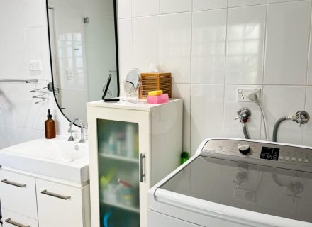 TImberleaf , Banksia-16