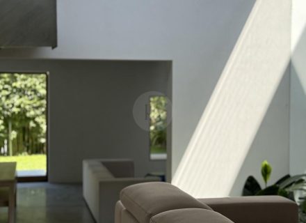 TONALABODE42