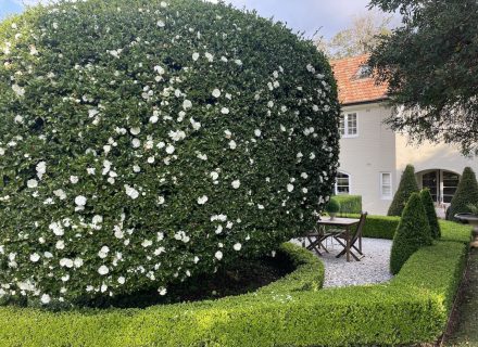 Tallinn Estate, Wahroonga 1033