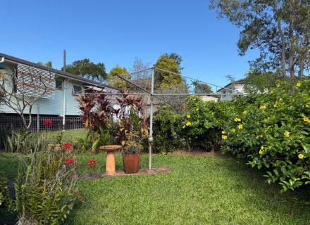 backyard