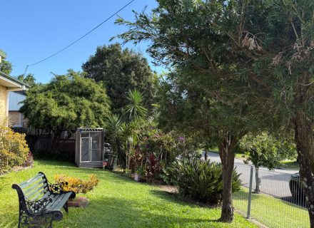 Tandanya House, Mansfield-20