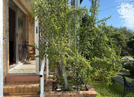 Tandanya House, Mansfield-22