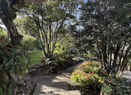 garden established