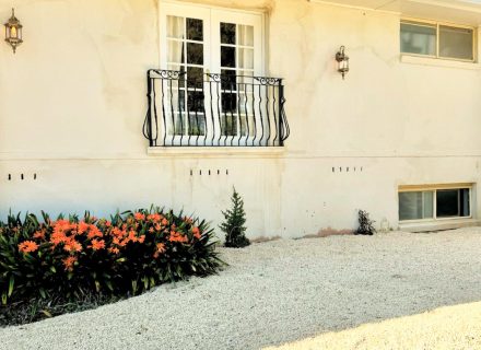 outdoor area driveway