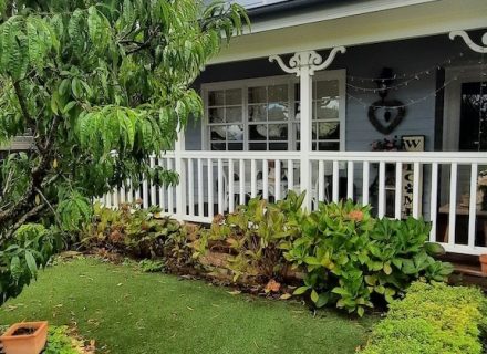 backyard garden established