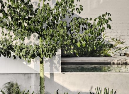 garden established
