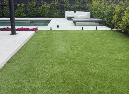 backyard garden established