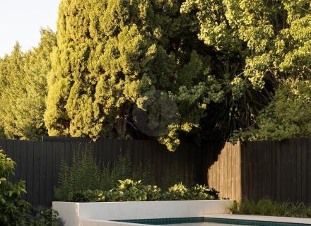 garden established pool