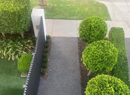 garden established