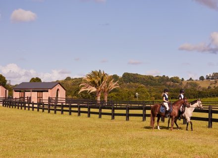 The Copper Estate, Bangalow 5