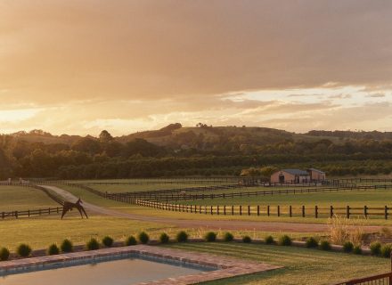 The Copper Estate, Bangalow 8