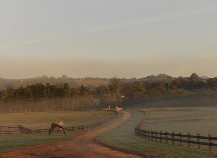 The Copper Estate, Bangalow 9