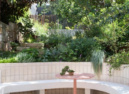 outdoor area garden established