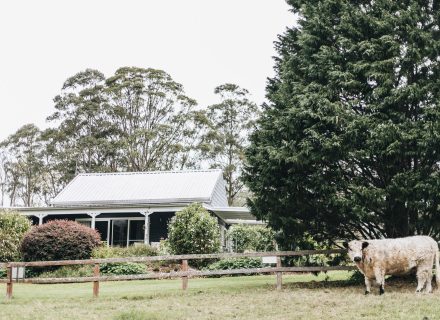 The Dara Farm, Berry-20