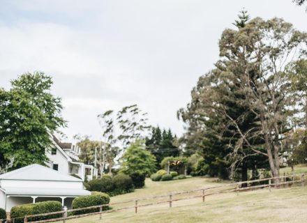 The Dara Farm, Berry-22