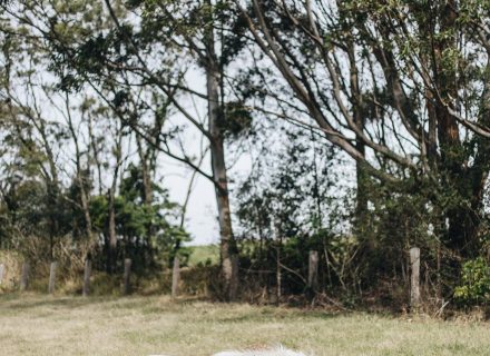 The Dara Farm, Berry-23