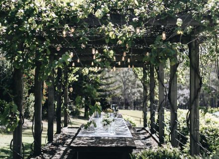 The Dara Farm, Berry-28