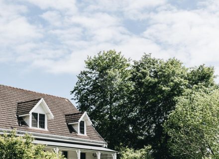 The Dara Farm, Berry-3