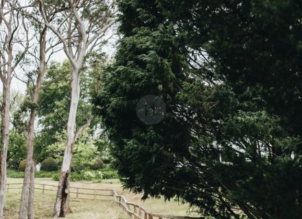 The Dara Farm, Berry-33