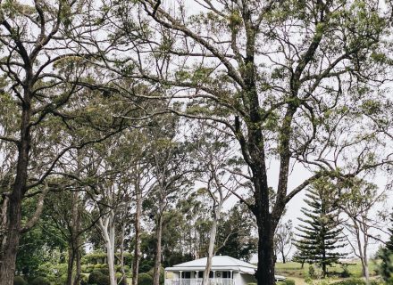 The Dara Farm, Berry-34