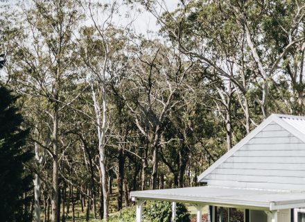 The Dara Farm, Berry-37