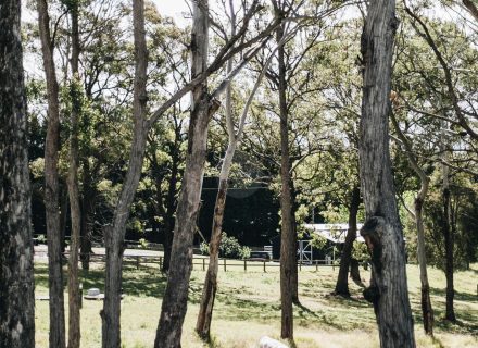 The Dara Farm, Berry-39