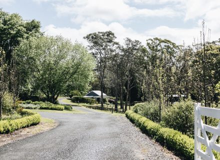 The Dara Farm, Berry-42