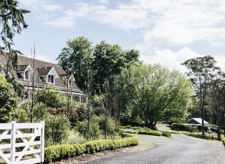 The Dara Farm, Berry-43