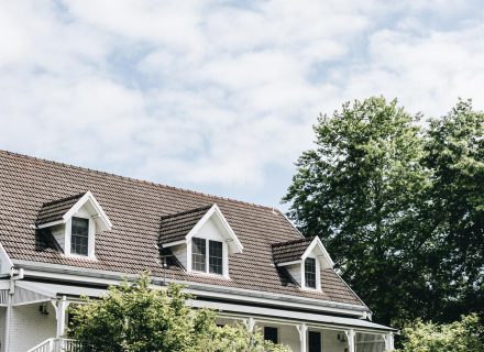 The Dara Farm, Berry-47