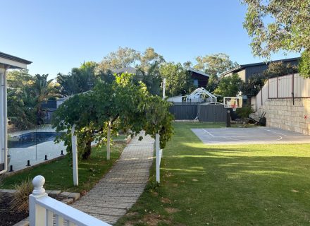 backyard garden established