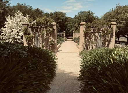 garden established