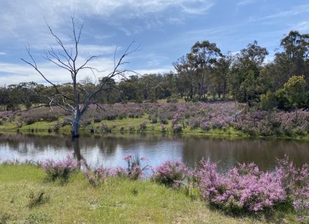 The-Log-House-Marulan-55.jpg