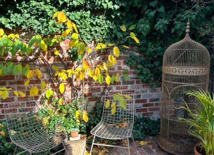 garden established
