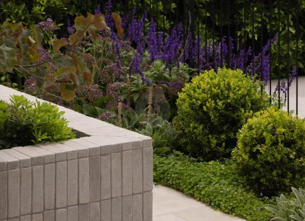 The Still House, Ormond-14