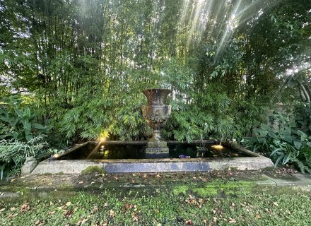 TheCarmichaelGardens2