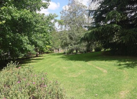 Thistle Garden, Pakenham Upper 42