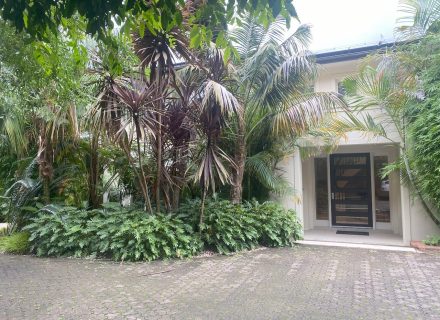 garden established