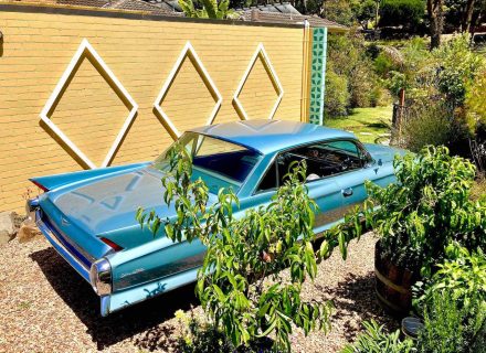 Tiki-House.Car_.jpeg