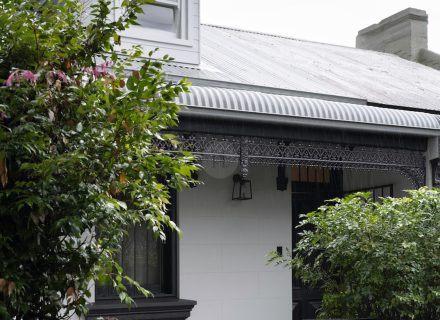 backyard pool garden established