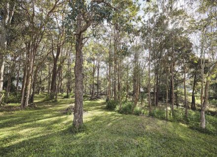 Timberstone, Gumdale 15