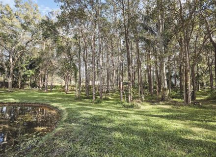 Timberstone, Gumdale 16